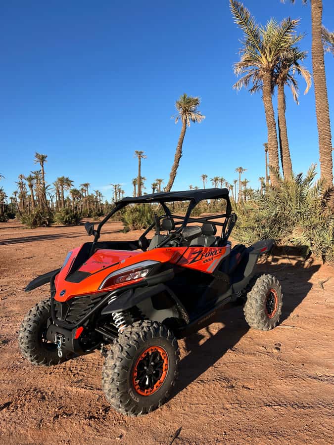 Marrakech : Palm Grove and jbilat Desert Buggy 1000cc Tour - Leaving Marrakech for the Palmeraie