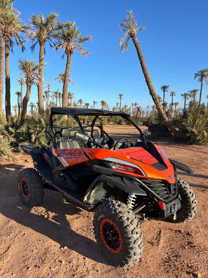 Marrakech : Palm Grove and jbilat Desert Buggy 1000cc Tour - The Palmeraie’s quieter side