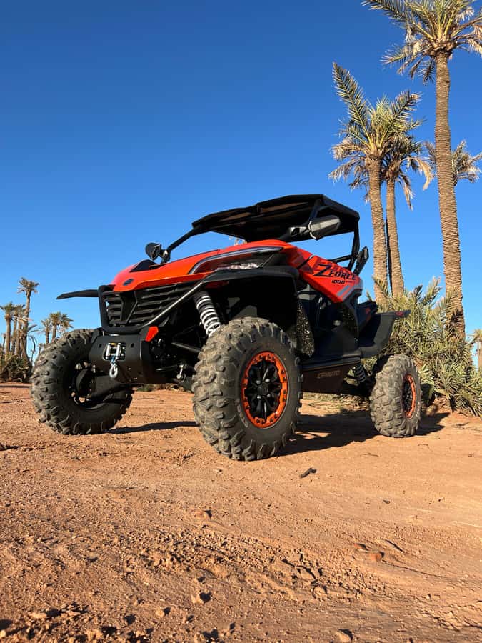 Marrakech : Palm Grove and jbilat Desert Buggy 1000cc Tour - What the guides and small group add