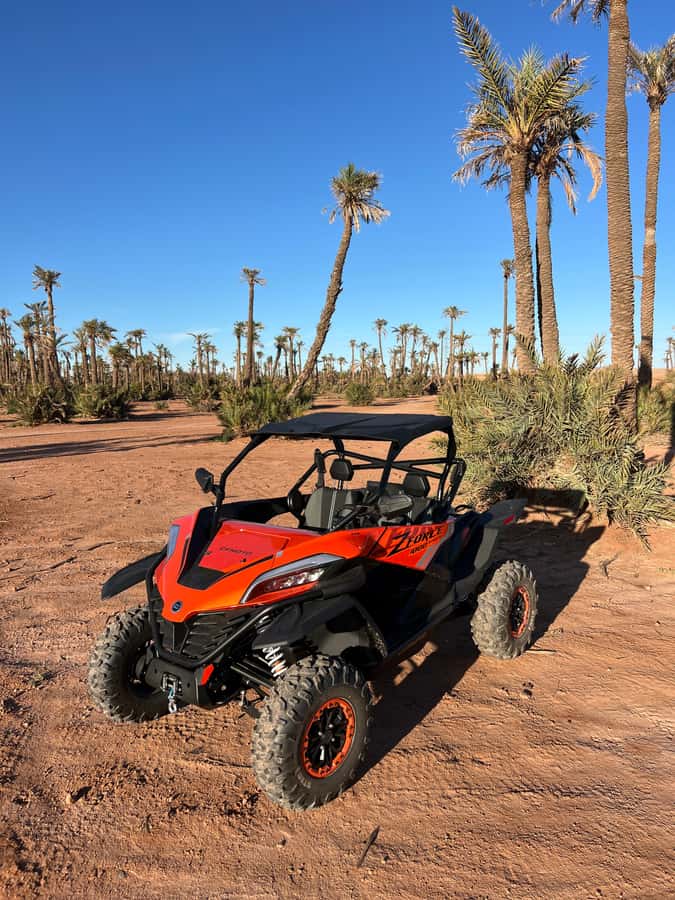 Marrakech : Palm Grove and jbilat Desert Buggy 1000cc Tour - Who will enjoy this ride most