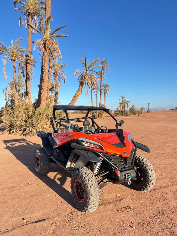 Marrakech : Palm Grove and jbilat Desert Buggy 1000cc Tour - Practical tips before you go