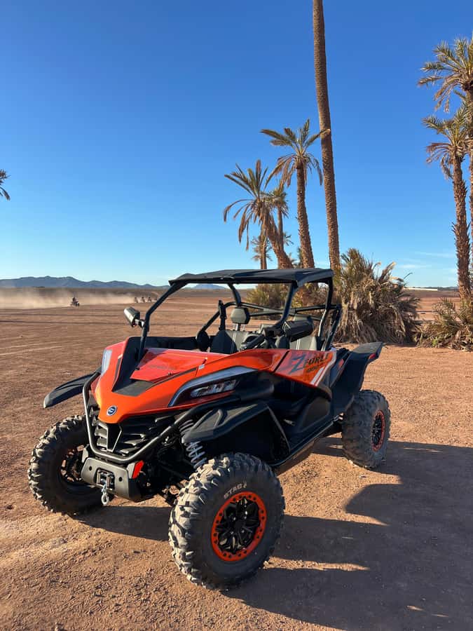 Marrakech : Palm Grove and jbilat Desert Buggy 1000cc Tour - My verdict on the 4.8-rated experience