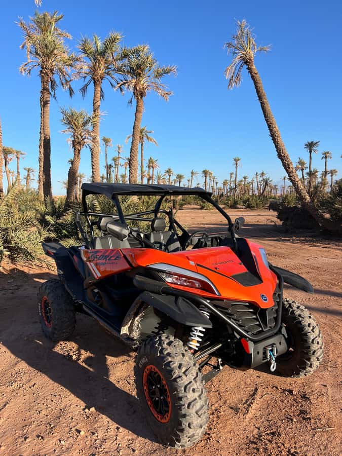 Marrakech : Palm Grove and jbilat Desert Buggy 1000cc Tour - Two hours on a Buggy ZCF 1000cc