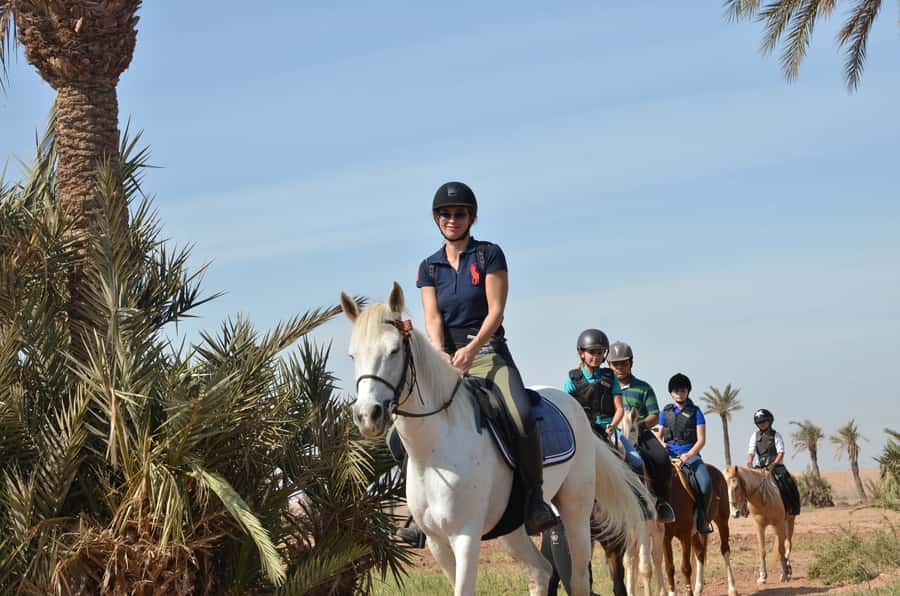 Marrakech: Palm Grove Horseback Riding Tour - Key points to know before booking