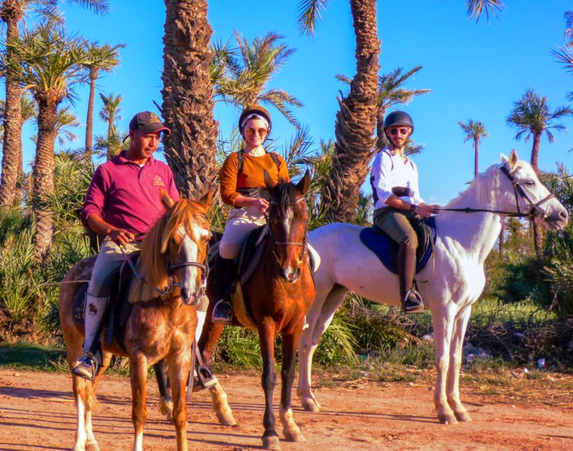 Marrakech: Palm Grove Horseback Riding Tour - Mint tea in the shade