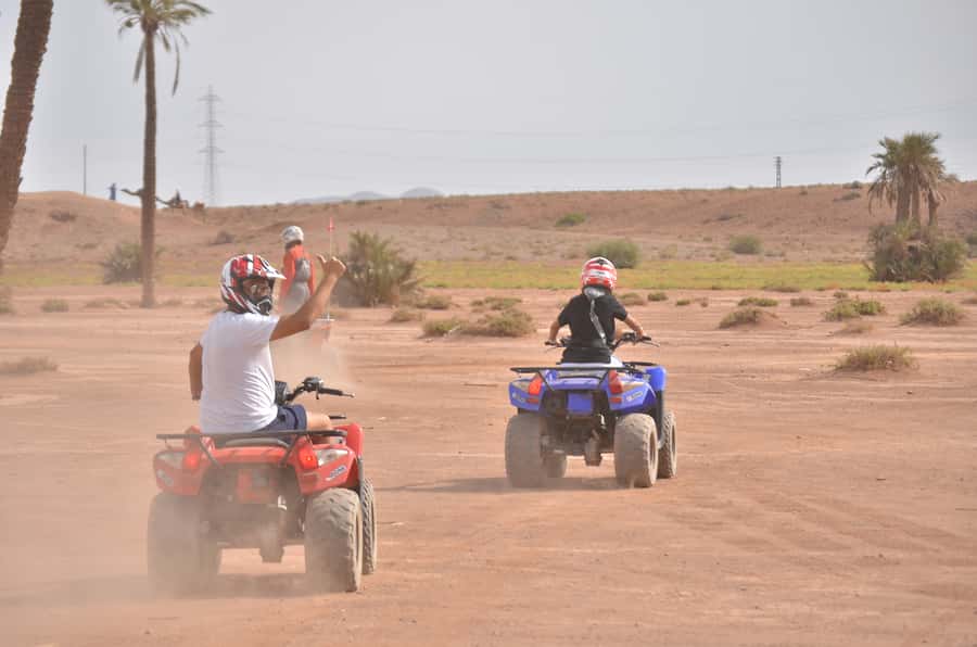 Marrakech: Palm Grove Quad Bike Tour - Key points at a glance