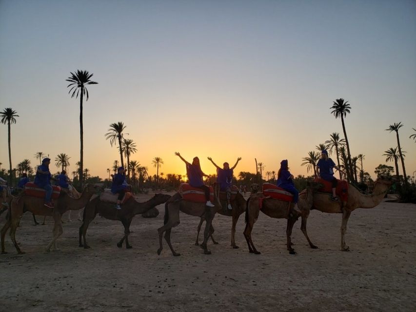 Marrakech palm grove: Sunset camel ride - Group size, guides, and the human side