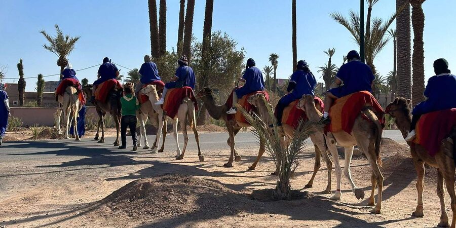 Marrakech Palmeraie Camel Ride Adventure - Guides who do more than lead the way