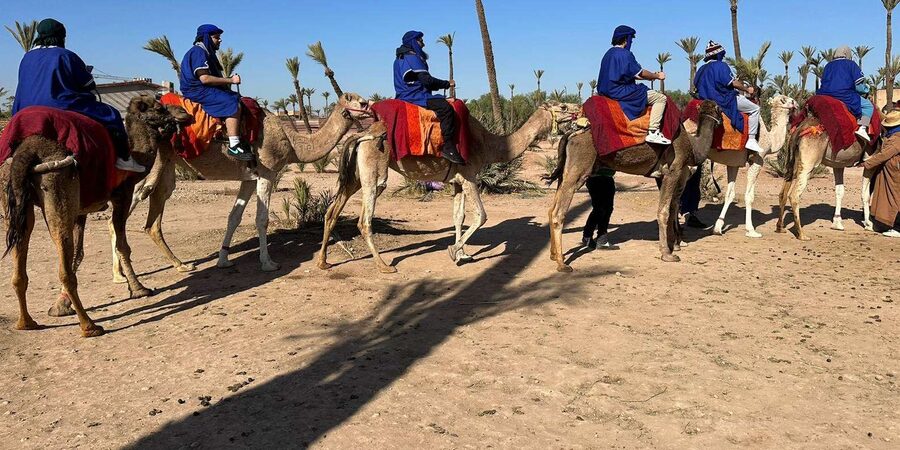 Marrakech Palmeraie Camel Ride Adventure - The village tea stop