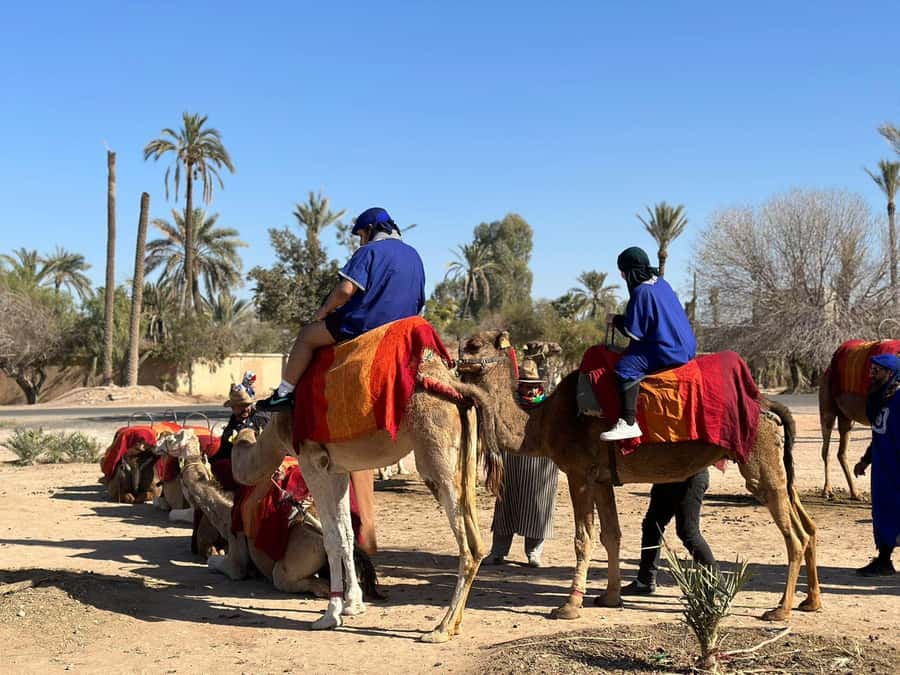 Marrakech Palmeraie Camel Ride Adventure - What the $26 price really covers
