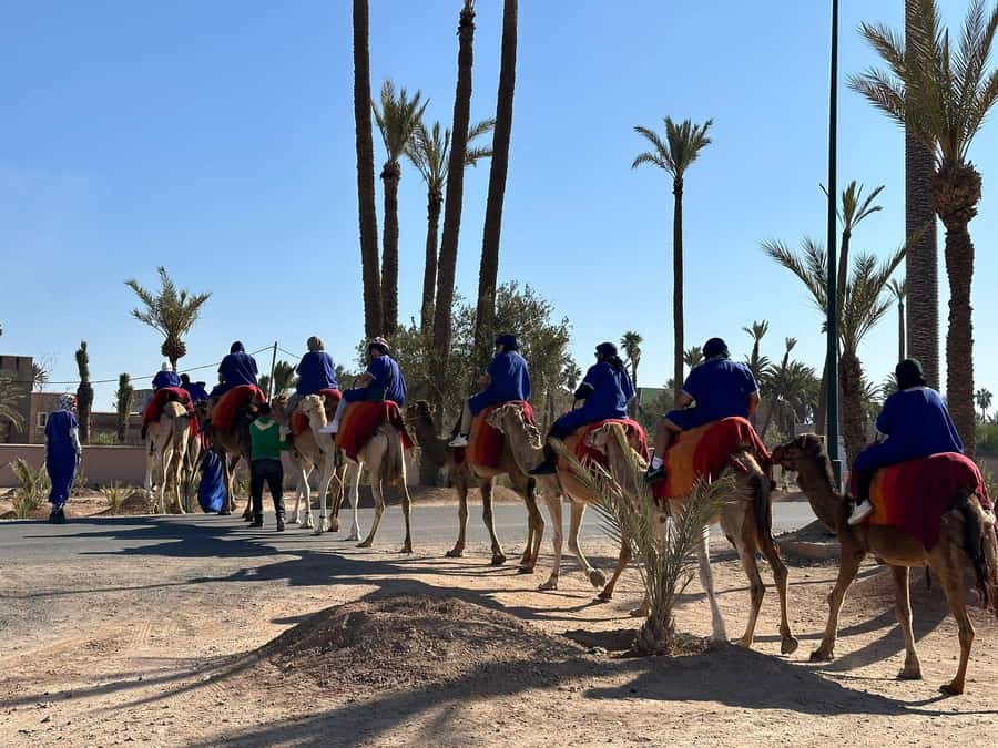 Marrakech Palmeraie Camel Ride Adventure - Comfort, clothing, and practical limits