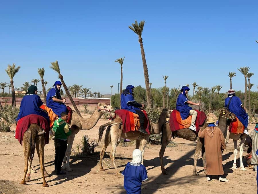 Marrakech Palmeraie Camel Ride Adventure - Who will enjoy this most