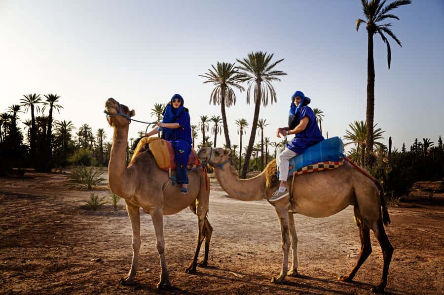 Marrakech Palmeraie: Camel Ride at Sunset - Key points before you book