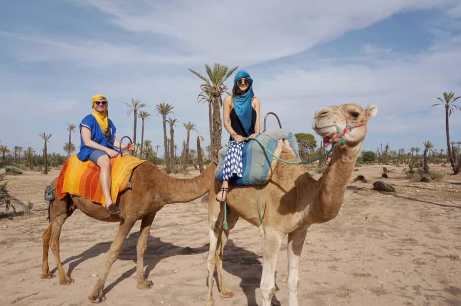 Marrakech Palmeraie: Camel Ride at Sunset - Riding through the palm grove at sunset