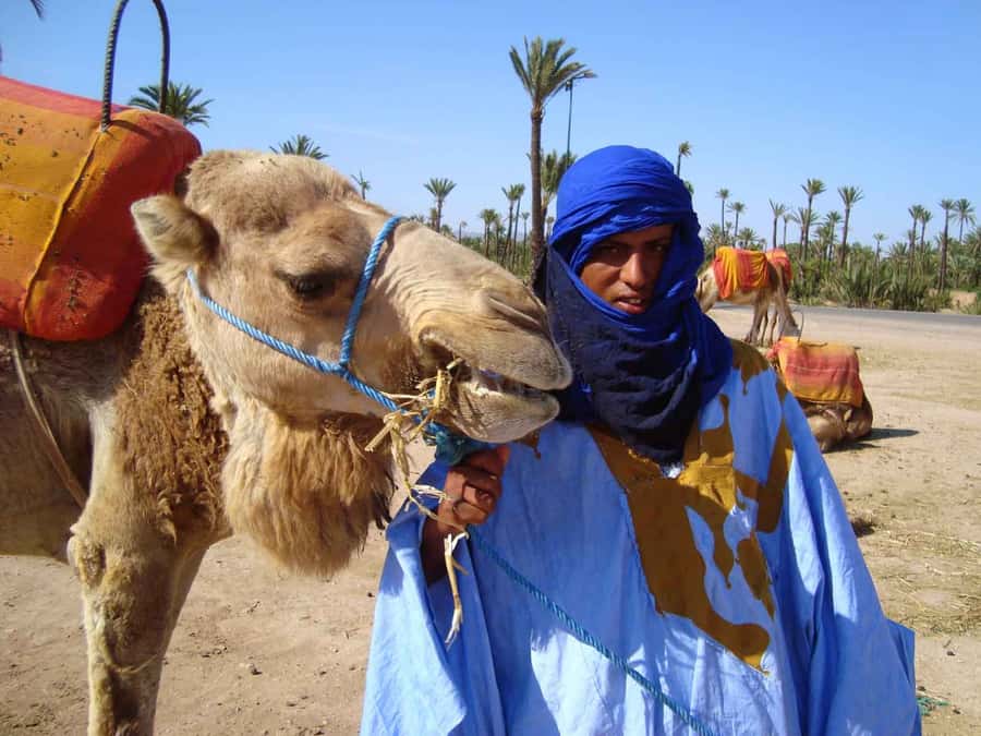Marrakech Palmeraie: Camel Ride at Sunset - Who will enjoy this most?