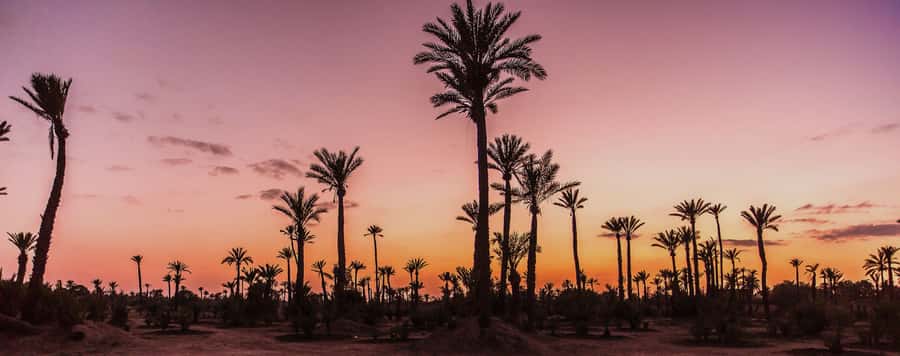 Marrakech Palmeraie: Camel Ride at Sunset - Dressing for the photographs
