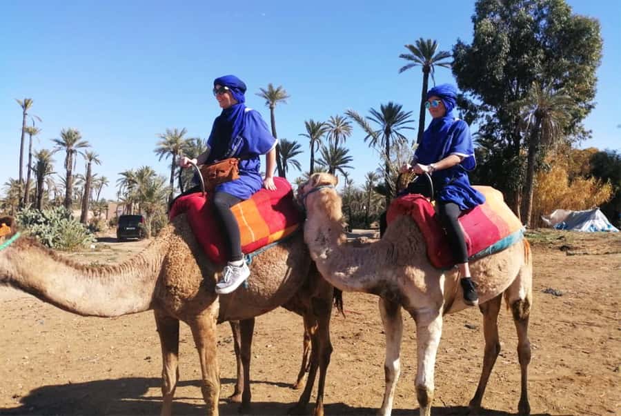 Marrakech Palmeraie: Camel Ride & Quad Bike Experience - Key points before you book