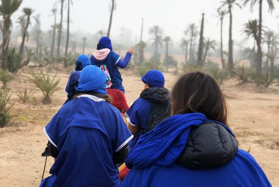 Marrakech Palmeraie: Camel Ride & Quad Bike Experience - Safety, comfort, and the small print
