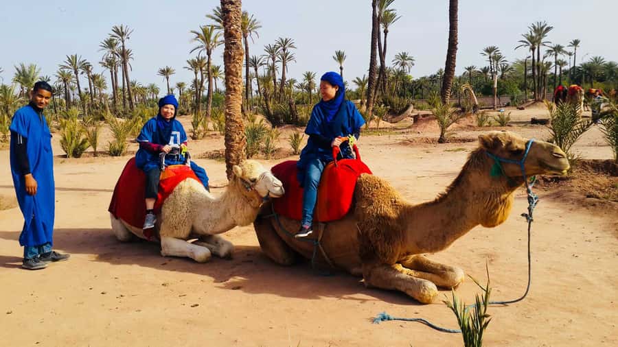 Marrakech Palmeraie: Camel Ride & Quad Bike Experience - Camel riding under the palm trees