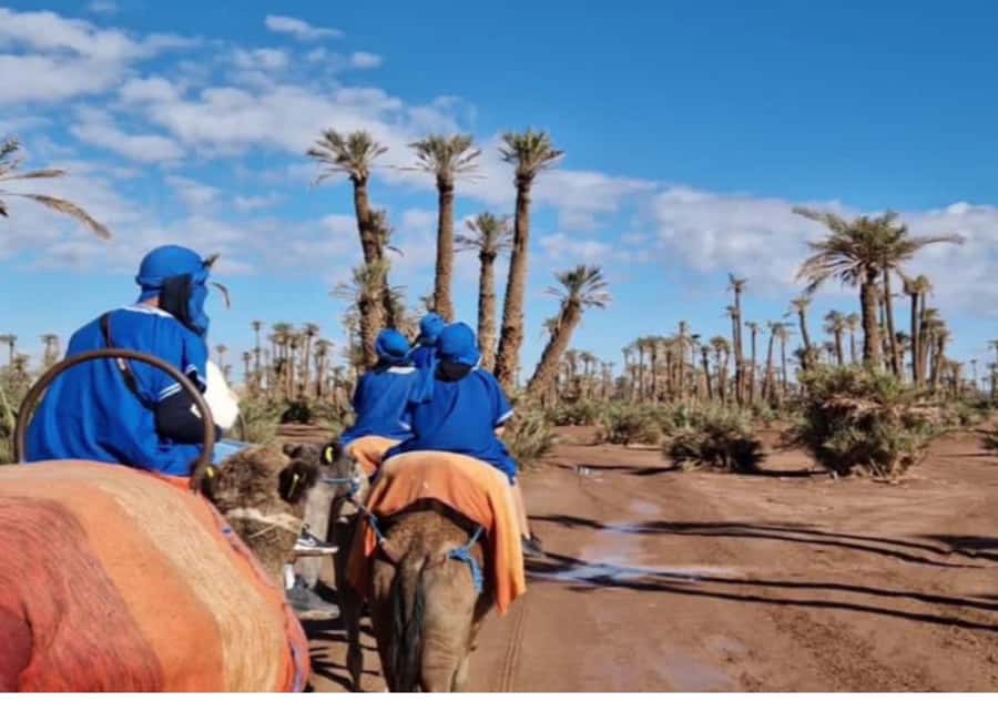 Marrakech: Palmeraie Camel Ride & Traditional Moroccan Spa - The argan oil massage and treatment length