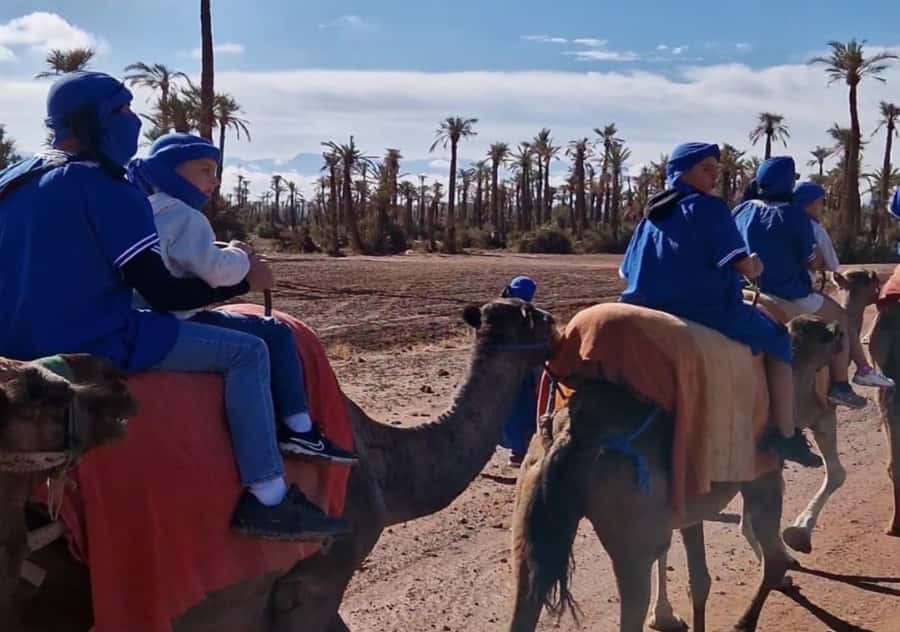 Marrakech: Palmeraie Camel Ride & Traditional Moroccan Spa - Who will enjoy this outing most