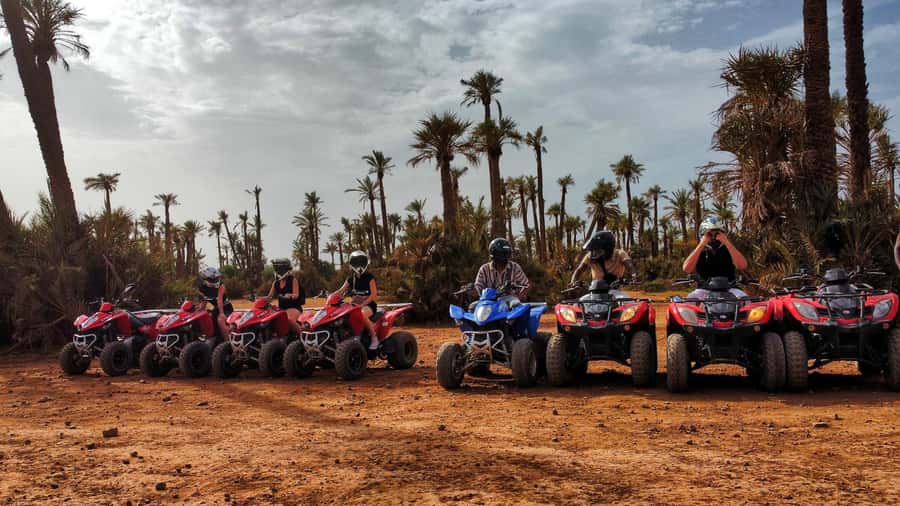 Marrakech: Palmeraie Guided Quad Biking Tour with Tea - The palm-tree photo stop