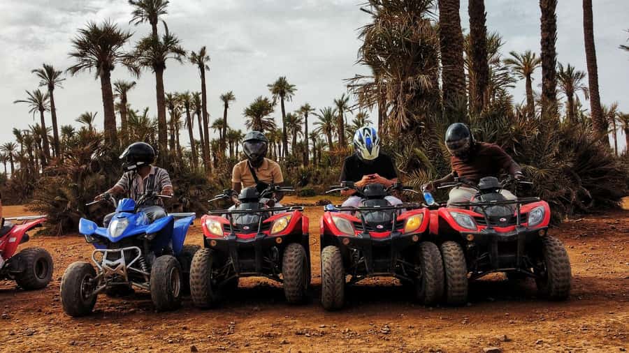 Marrakech: Palmeraie Guided Quad Biking Tour with Tea - Who will enjoy this most?