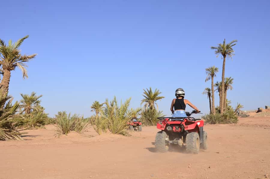 Marrakech: Palmeraie Guided Quad Tour with Tea Break - When to Go and What to Wear