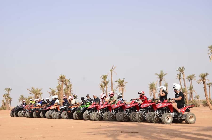 Marrakech: Palmeraie Guided Quad Tour with Tea Break - What the $21 Price Really Covers