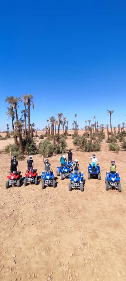 Marrakech: Palmeraie Private Quad Bike Experience - The photo stop among palms and open ground