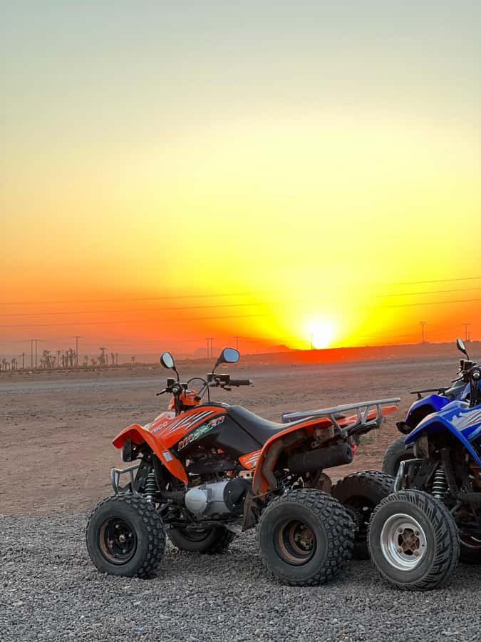 Marrakech: Palmeraie Private Quad Bike Experience - Who should book this ride?