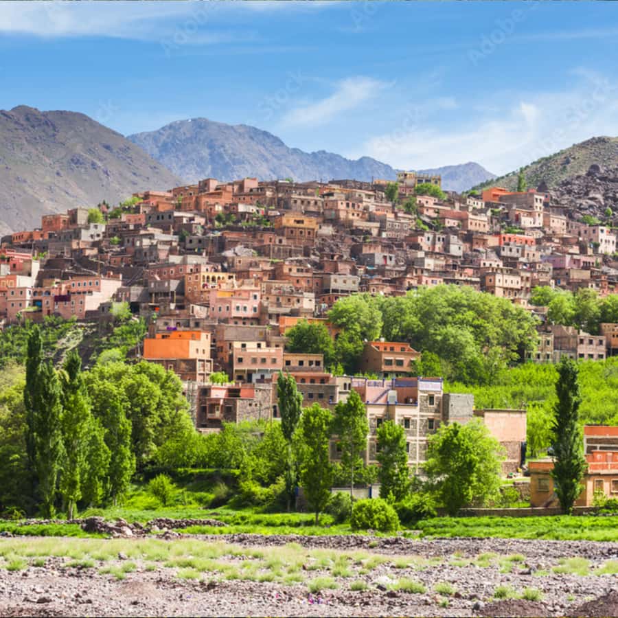 Marrakech: Paragliding, Camel Ride & Berber Villages Trip - Why this Marrakech day trip works so well