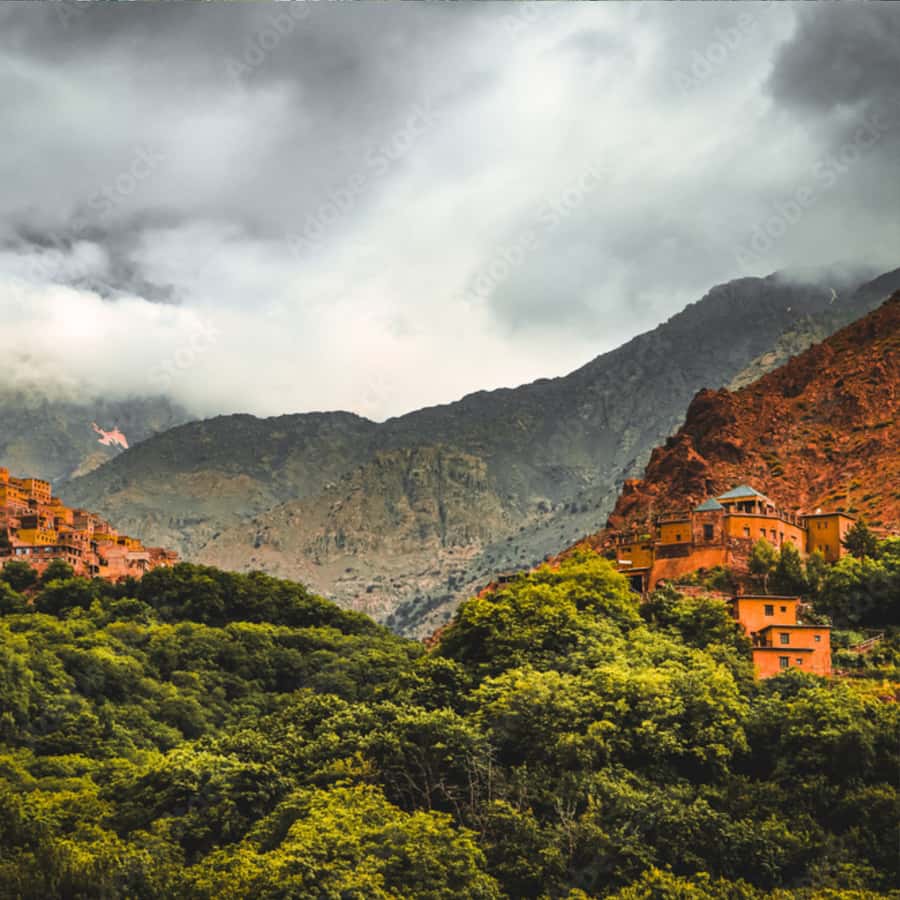 Marrakech: Paragliding, Camel Ride & Berber Villages Trip - From Marrakech to the argan oil cooperative