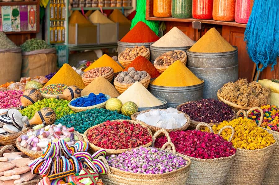 Marrakech: Private Full-Day City Tour w/ Majorelle Garden - Majorelle Garden: blue walls and quiet paths