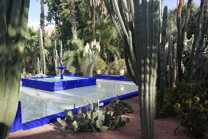 Marrakech: Private Guided Half-Day City Tour - Mellah and Bab Agnaou: Two Windows Into the Old City