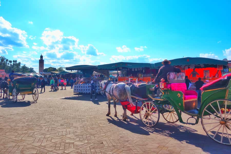 Marrakech: Private Half-Day City Highlights Tour - Bahia Palace and Its Quiet Courtyards