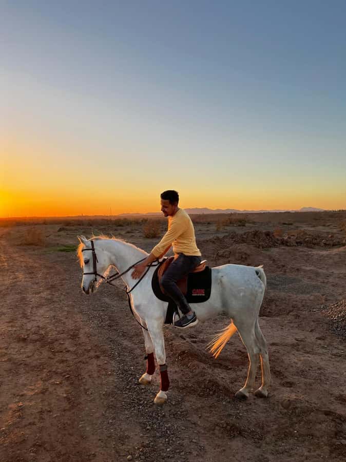 Marrakech: Private Horseback Tour in the Palm Grove with Tea - Key points to know before booking
