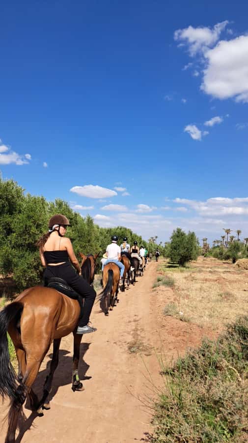 Marrakech: Private Horseback Tour in the Palm Grove with Tea - What beginners should expect in the saddle