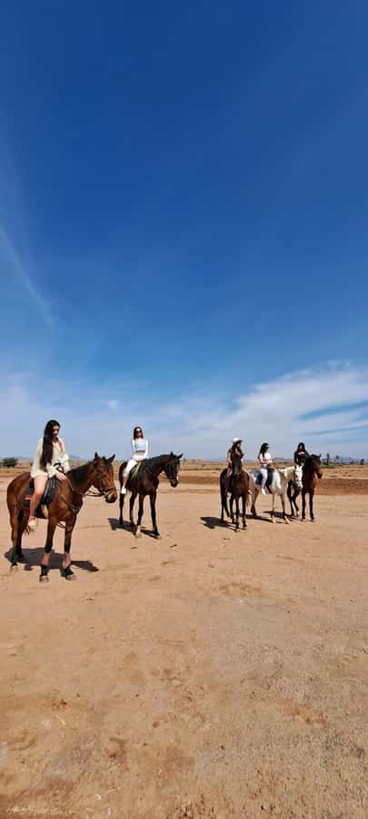 Marrakech: Private Horseback Tour in the Palm Grove with Tea - Walking, trotting, and galloping