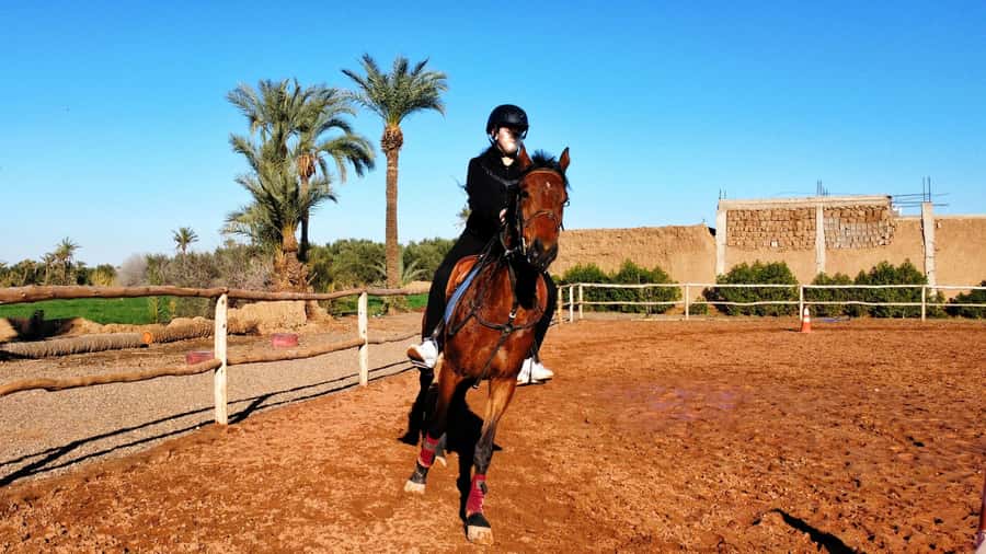 Marrakech: Private Horseback Tour in the Palm Grove with Tea - Meeting your horse and guide