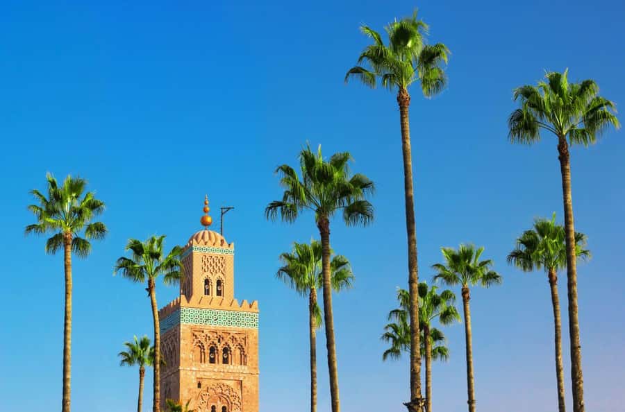 Marrakech Private Medina Tour: Bahia Palace & Ben Youssef - Through spice lanes and artisan workshops