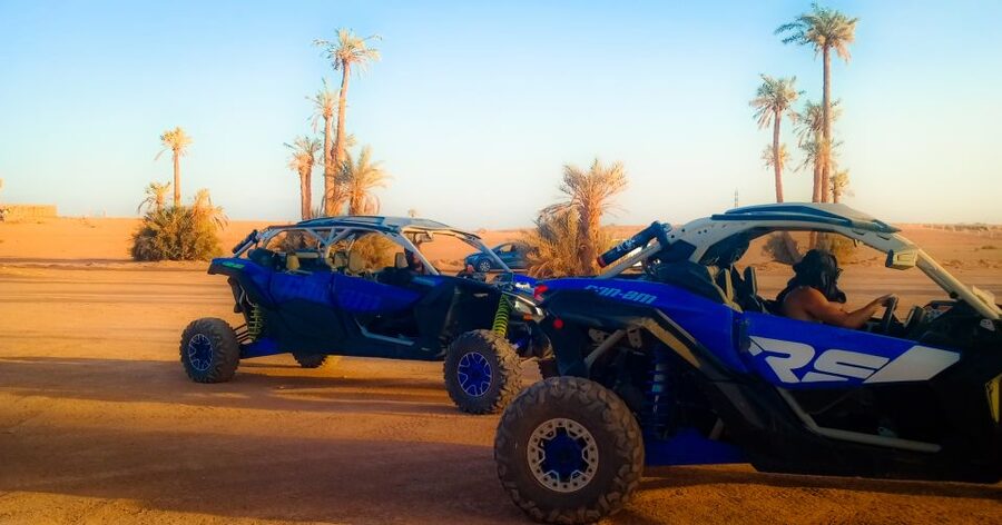 Marrakech: Private Palm Grove Camel and Quad Bike Ride - Should you book the Marrakech camel and quad ride?