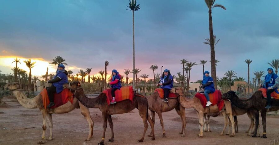 Marrakech: Private Palm Grove Camel and Quad Bike Ride - Leaving Marrakech for the palm grove