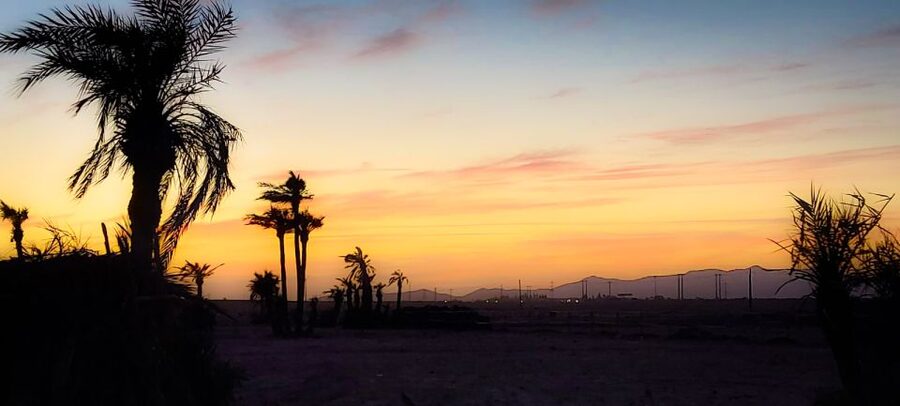 Marrakech: Private Palm Grove Camel and Quad Bike Ride - Guides, photographs, and personal service