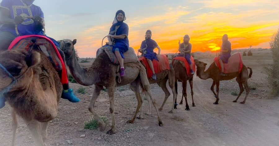 Marrakech: Private Palm Grove Camel and Quad Bike Ride - What the $58 price gives you