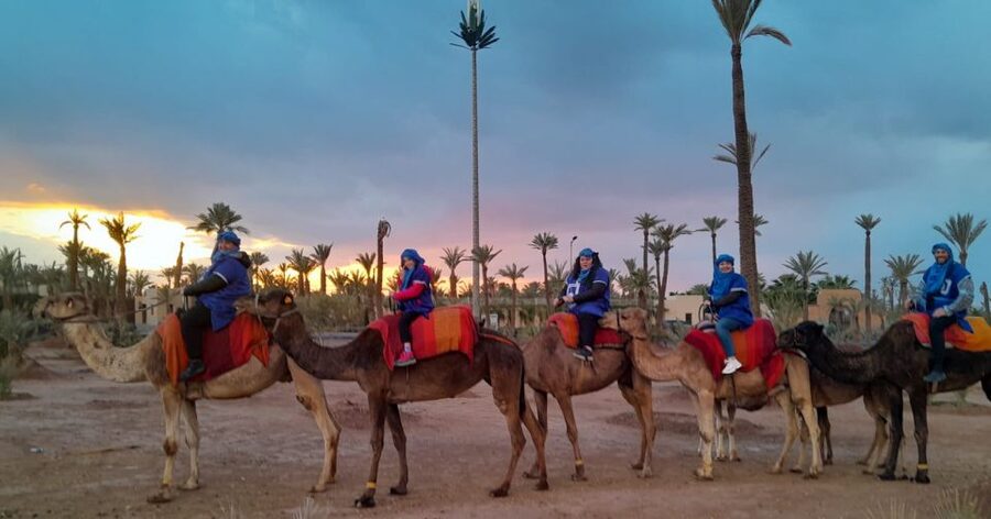 Marrakech: Private Palm Grove Camel and Quad Bike Ride - Who should book this experience?