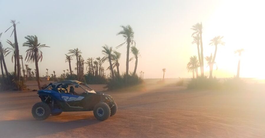 Marrakech: Private Palm Grove Camel and Quad Bike Ride - The one-hour camel ride
