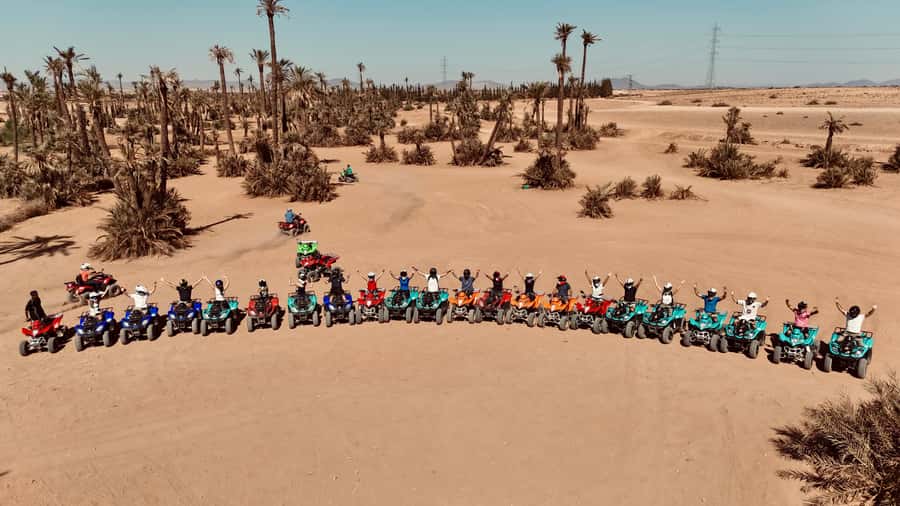 Marrakech: Quad activity in the Palmeraie with Tea break - From Marrakech streets to the Palmeraie in 30 minutes