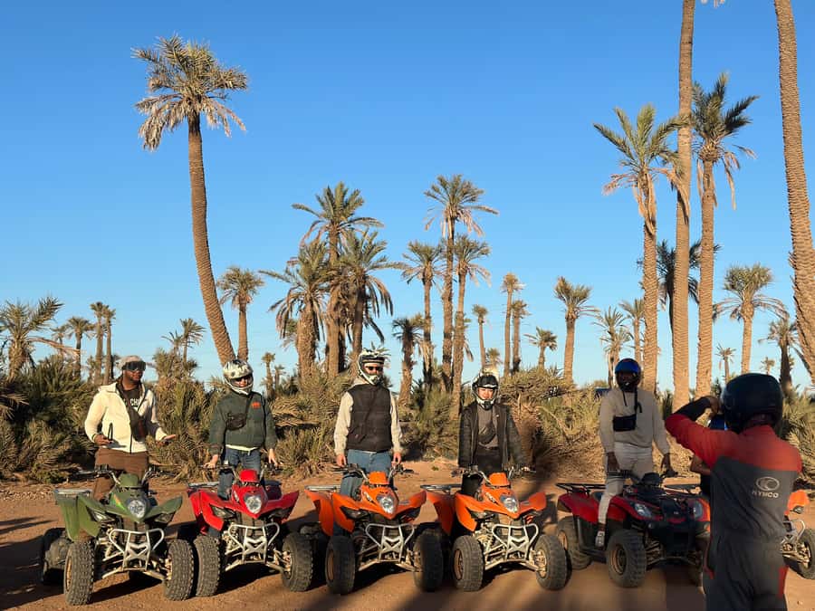 Marrakech: quad Adventure at the Dunes of the palmery desert - Riding Through Palm Groves and Rocky Tracks