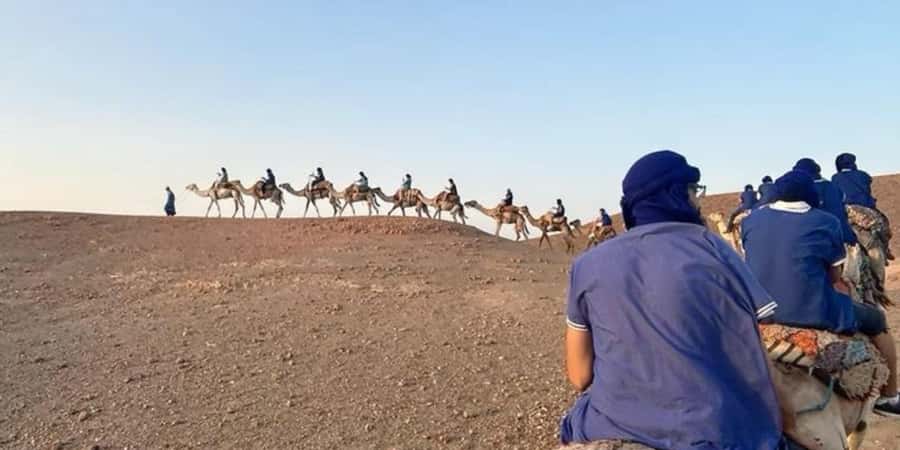Marrakech: Quad Bike and Camel, Dinner Show in Agafay Desert - Moroccan dinner under the stars
